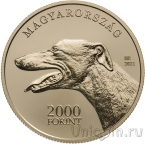 ������� 2000 �������� 2021 ���������� ������