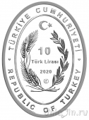 Турция 10 лир 2020 Часовая башня Амасья