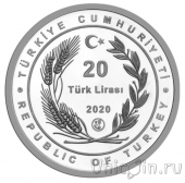 ������ 20 ��� 2020 ������������ ��������� � ������� ��������� (2)