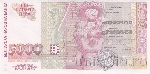  5000  1996