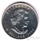 ������ 5 �������� 2006 �������� ���� (��������� �����: �����)