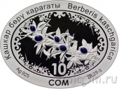 Киргизия 10 сом 2022 Барбарис кашгарский