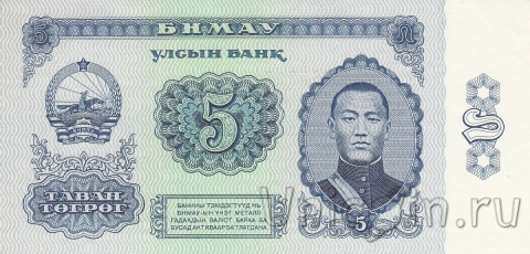  5  1981