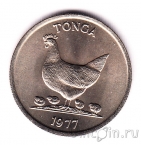 ����� 5 ������ 1977