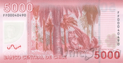 Чили 5000 песо 2021