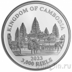 Камбоджа 3000 риэль 2023 Тигр (цветная)