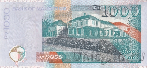  1000  2022