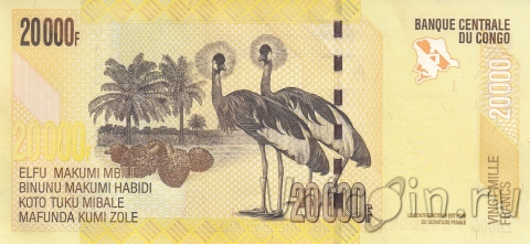   20000  2022