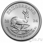 ��� - ���������� ����� ���������� 2024