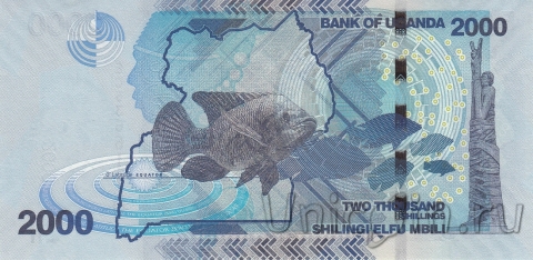  2000  2022