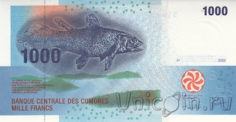   1000  2005