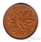 ������ 1 ���� 1981