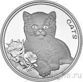Фиджи 50 центов 2022 Кошки