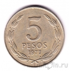 ���� 5 ���� 1977
