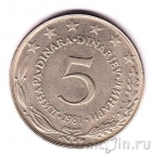 ��������� 5 ������� 1981