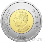 Канада 2 доллара 2024 100 лет Королевским ВВС Канады (цветная)