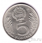 ������� 5 �������� 1989