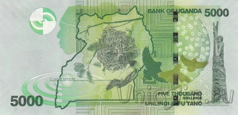  5000  2019