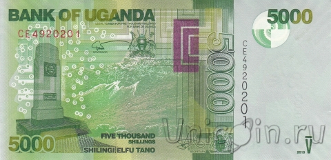  5000  2019