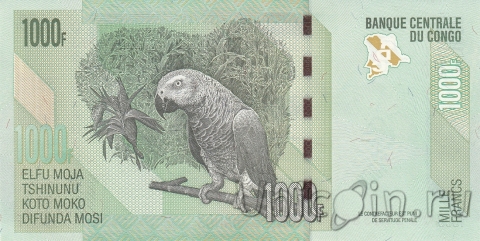   1000  2022