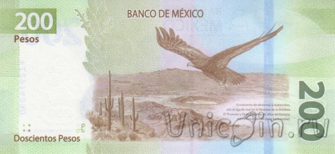  200  2023