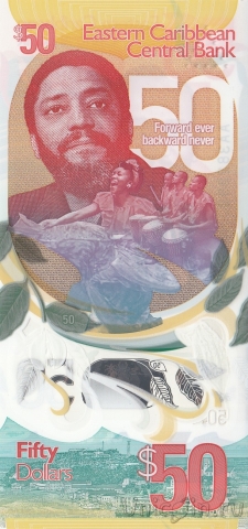 -  50  2024 50   