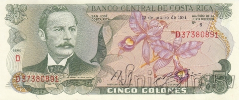 - 5  1981