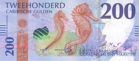   - 200  2025