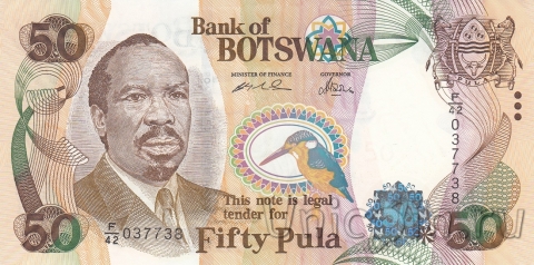  50  2005