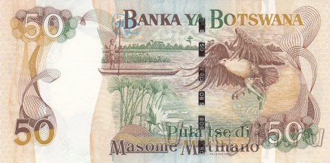  50  2005