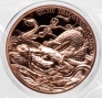  25  2025 Qiuniu -   
