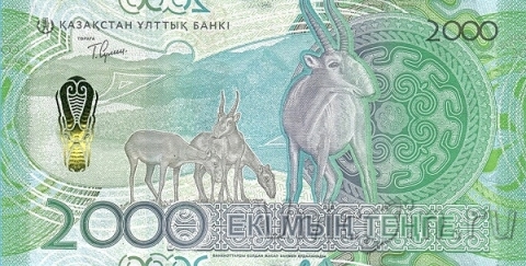  2000  2024 (2025)