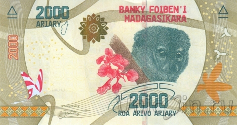  2000  2017