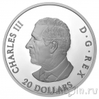  20  2025  . 