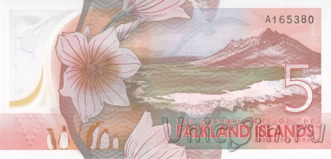 Фолклендские острова 5 фунтов 2025