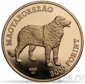 Венгрия 3000 форинтов 2025 Собака Венгерский кувас