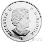 ������ 1 ������ 2004 ���� ������