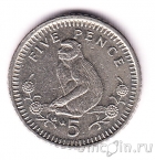 ��������� 5 ������ 1993