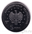 �������� 5 ���� 2026 ������������ �������: ����� 6 (D)