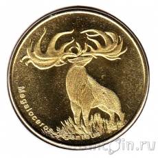 Новинки: монеты Венгрии; наборы Канады, Молдавии и Сомалиленда!