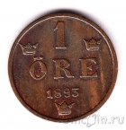 ������ 1 ��� 1893